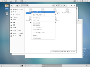 リポジトリ情報を開く