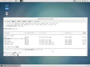 インストールされるバージョンを確認