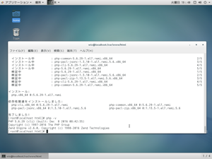 PHPコマンドのテスト