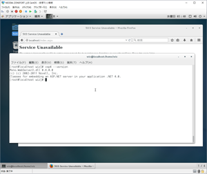 XSP4のバージョン情報