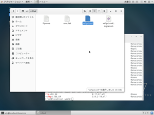 vsftpd.confを発見