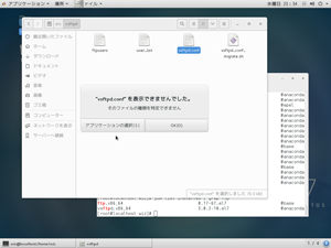 ファイルの種類が特定できない