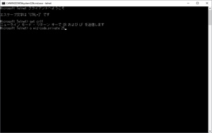 WindowsでTelnetを起動